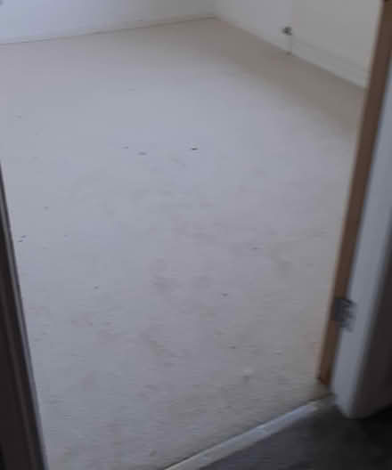 Photo of free White Carpet (South Shields, NE34) #1