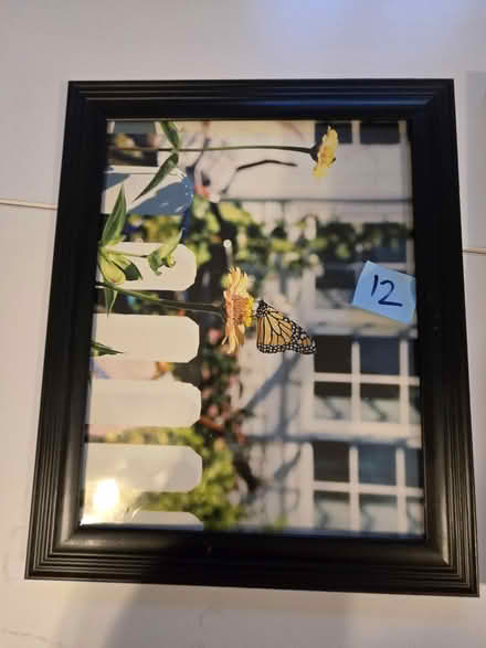 Photo of free Black Picture Frame - 11"x14" (Woodbine, NJ) #1
