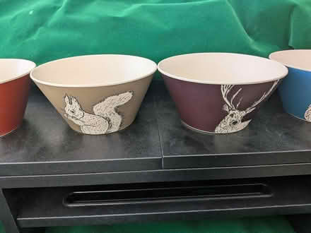 Photo of free Four "Into The Wild" Animal Design Bowls (CT15) #2