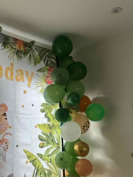 Photo of free Party balloons (Eastern Avenue East RM1) #1