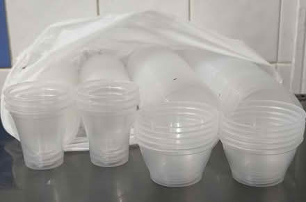 Photo of free Small plastic pots (Primrose LA1) #1