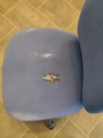 Photo of free Shabby but usable swivel chair (Leigh) #2