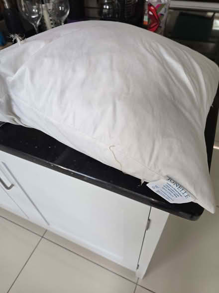 Photo of free John lewis cushion (Bray SL6) #1