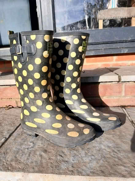 Photo of free Wellies size 8 (South Norwood SE25) #2