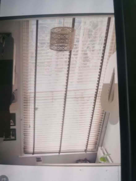 Photo of free blinds (Haggerston E8) #1