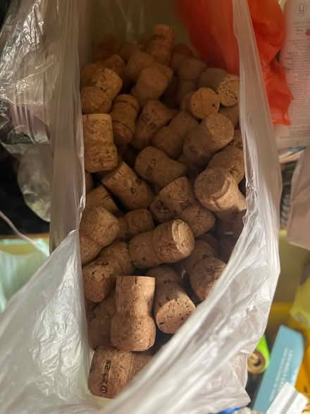 Photo of free Corks for craft (GU14) #1