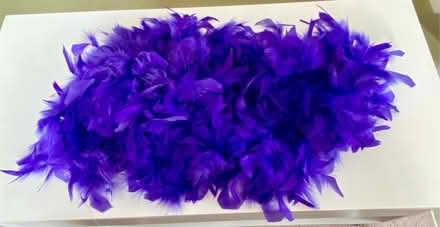 Photo of free Purple Feather Boa (Kentwood RG30) #1