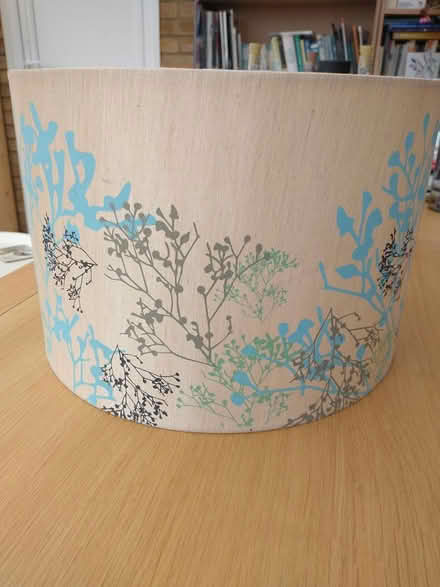 Photo of free Lamp shade (Didcot OX11) #2