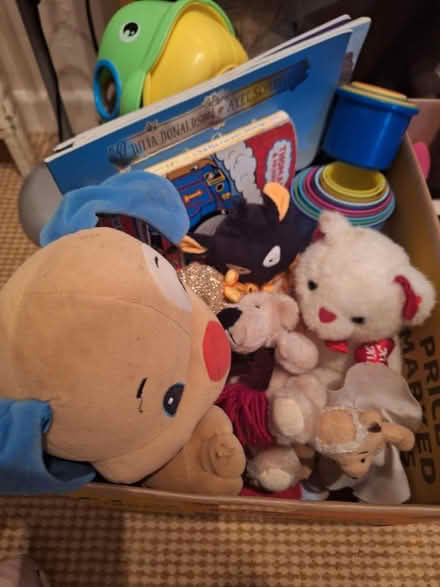 Photo of free Toys (Forestgreen) #1