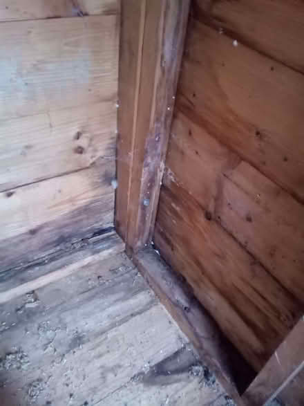 Photo of free Wooden garden shed (Marsh Farm LU3) #3