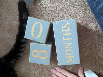 Photo of free Baby age blocks (Leedom, Ridley park) #1