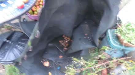 Photo of free Trampoline base where one jumps on (Risinghurst OX3) #1