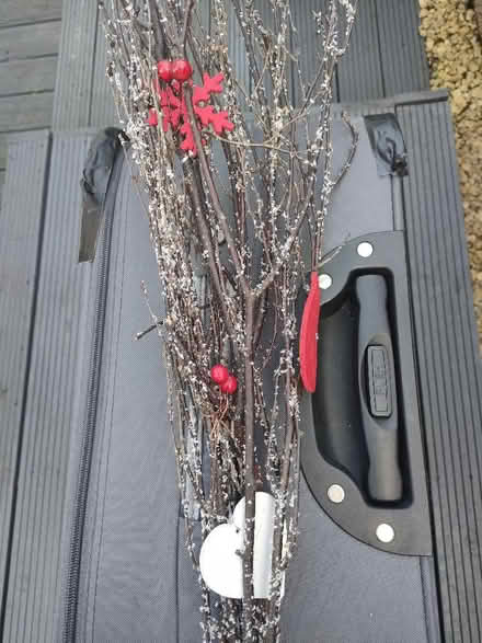 Photo of free Winter/Christmas Branch Decoration (Skerton LA1) #1