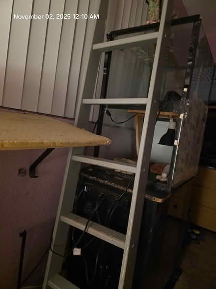 Photo of free Reptile aquarium habitat (Newbury Park) #1