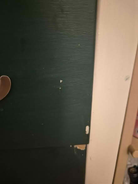 Photo of free Green and white chest of drawers (Walthamstow E17) #2