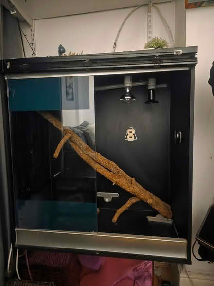 Photo of free Vivarium (Wood green N22) #1