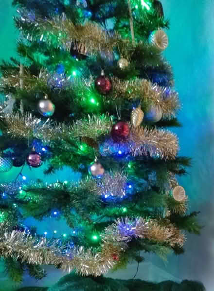 Photo of free 6ft Berry and Cone Christmas Tree (Skerton LA1) #4