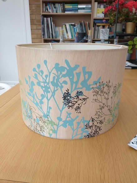 Photo of free Lamp shade (Didcot OX11) #3