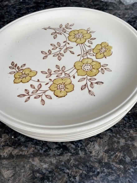Photo of free Dinner plates (Woking GU22) #1