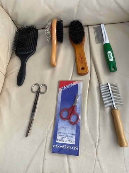 Photo of free Dog grooming equipment (Woking GU22) #1