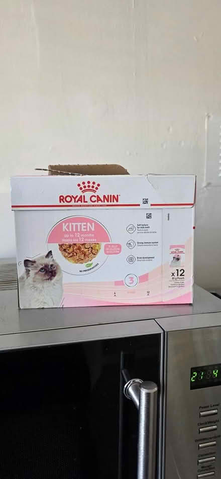 Photo of free kitten food (Kegworth DE74) #3