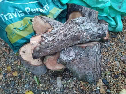 Photo of free Pear wood (Palmers Green N13) #1