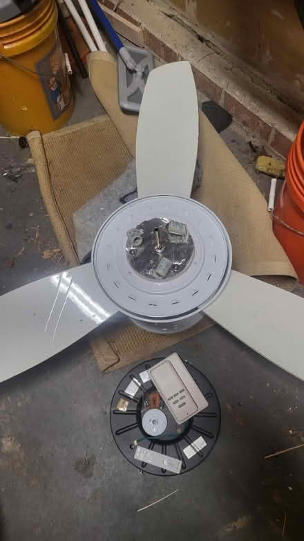 Photo of free Ceiling fan (Kensington, MD) #1