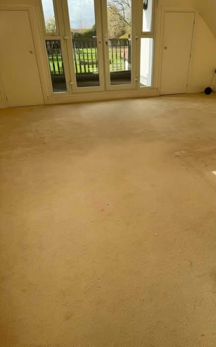 Photo of free Cream carpet and underlay (Solihull Bentley Heath) #1
