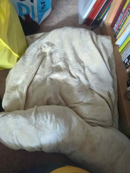 Photo of free Weighted blanket (Leedom, Ridley park) #1