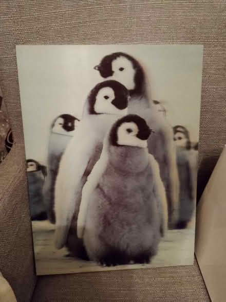 Photo of free Penguin picture (Harold Hill RM3) #2