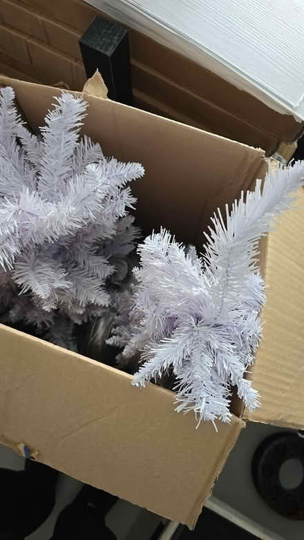 Photo of free White Christmas tree (Brierley Hill DY5) #1