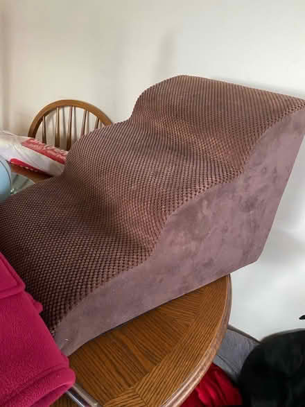 Photo of free Doggy/cat steps (Belper DE56) #1