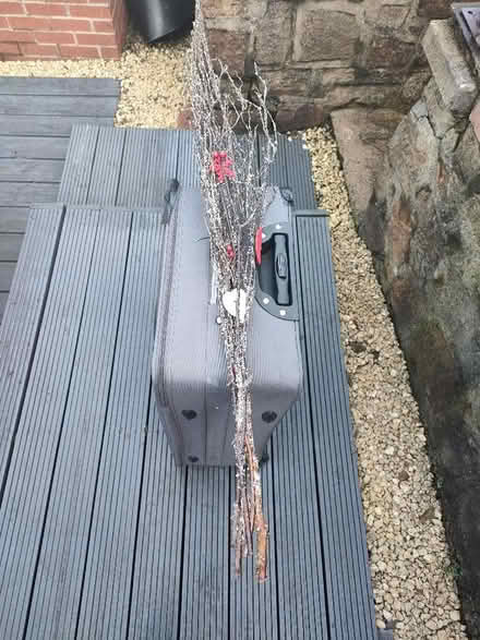 Photo of free Winter/Christmas Branch Decoration (Skerton LA1) #2