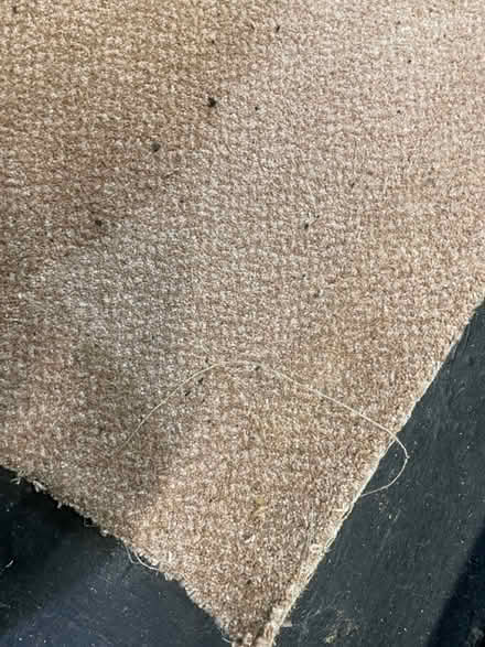 Photo of free Carpet v good condition (Earlsdon CV5) #1