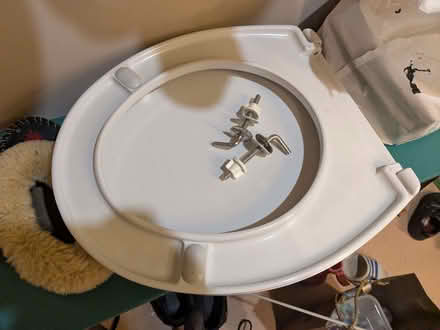 Photo of free Toilet seat (new) (Brockley SE4) #1
