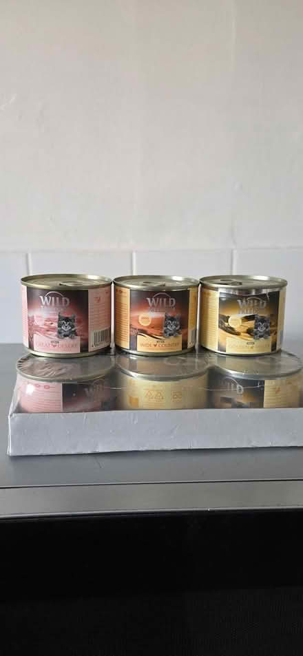 Photo of free kitten food (Kegworth DE74) #1
