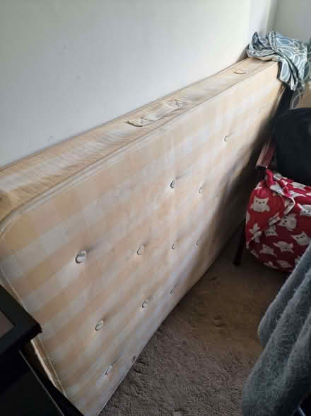 Photo of free Single mattress in great condition (Larkhall) #1