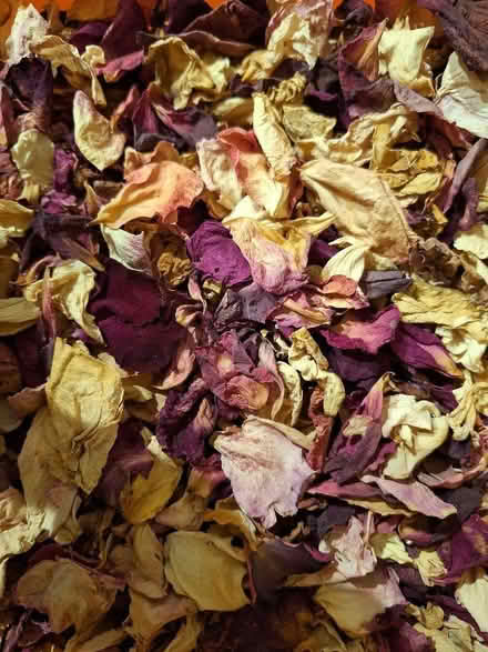 Photo of free Box of last summer's dried rose petals (Hoddesdon EN11) #1