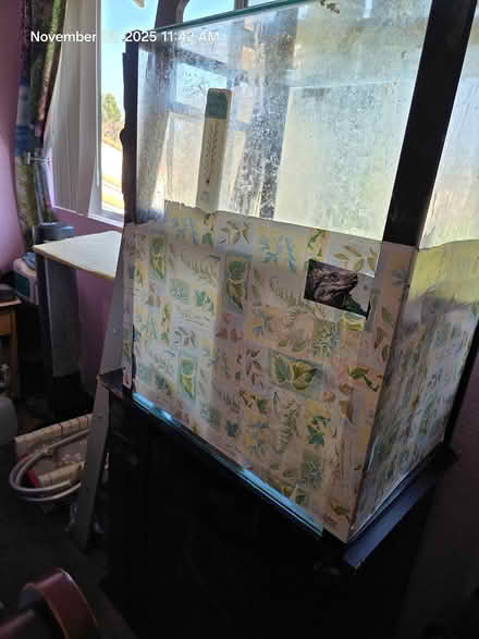 Photo of free Reptile aquarium habitat (Newbury Park) #2