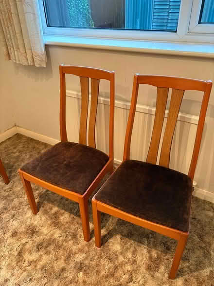 Photo of free Dining room chairs (Tring HP23) #1