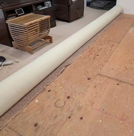 Photo of free Large wall-to-wall carpet (Western Ellicott City) #3