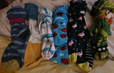 Photo of free Welly socks ladies 4-7, 6 pairs (Stratton Strawless NR10) #1