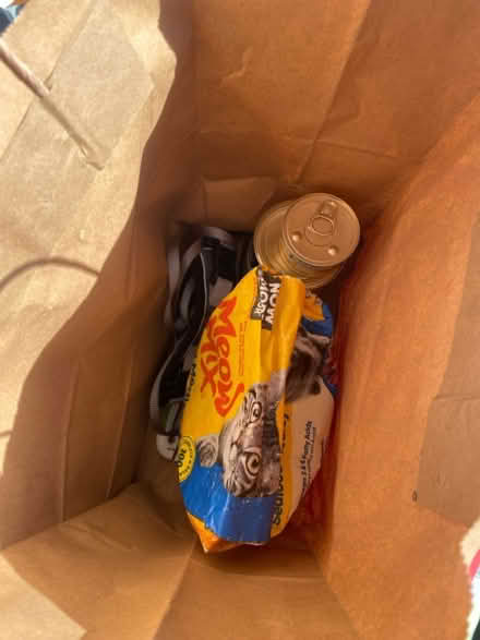 Photo of free Cat Supplies (Boston, MA) #2