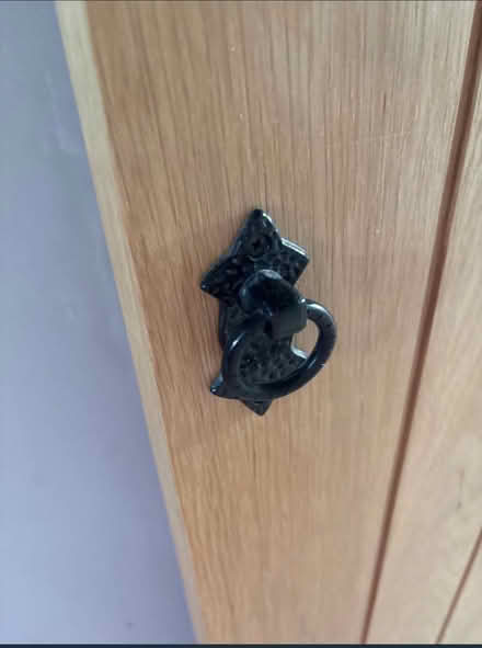 Photo of free Oak veneer sliding door (CB21) #3