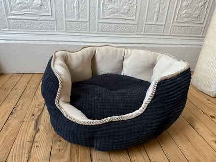 Photo of free Cat tower, bed & scratch post (Pollokshields, G41) #3