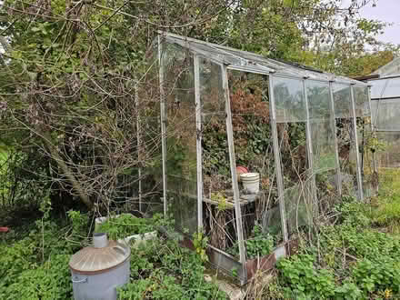 Photo of free Glass Greenhouse (Swindon, SN6) #2