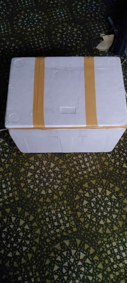 Photo of free Large polystyrene box (Wollaton NG8) #1