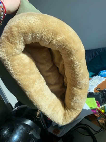 Photo of free Cat Supplies (Boston, MA) #1