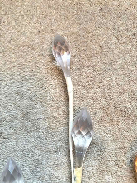 Photo of free Plastic Crystals on Wire Stems (Macclesfield SK10) #3