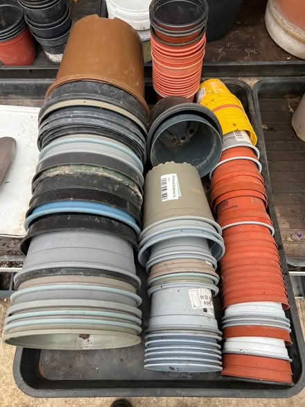 Photo of free Plastic plant pots (Ringmer BN8) #1